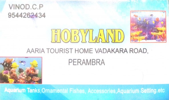 HOBYLAND, PETS & AQUARIUM,  service in perambra, Kozhikode